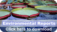 Environmental Report